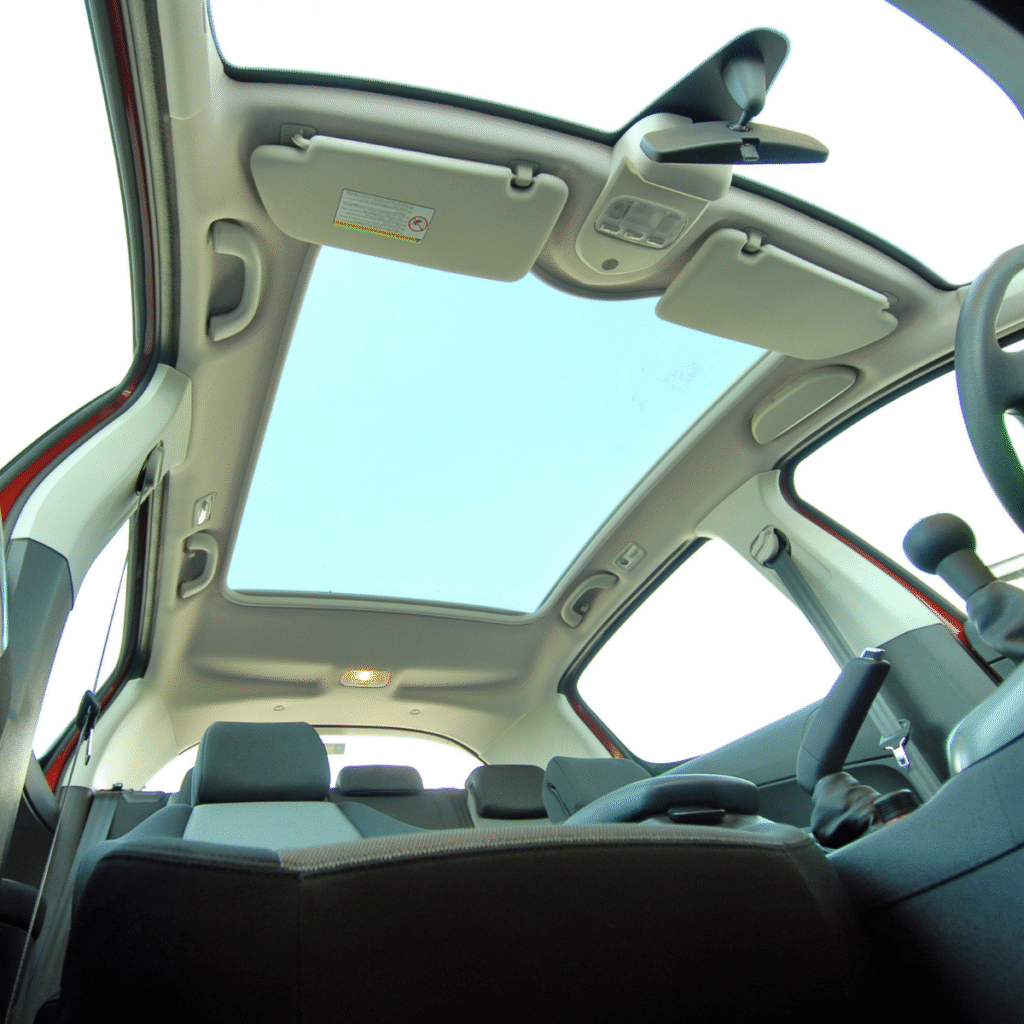 Paranomic Sunroof Glass Replacement Image
